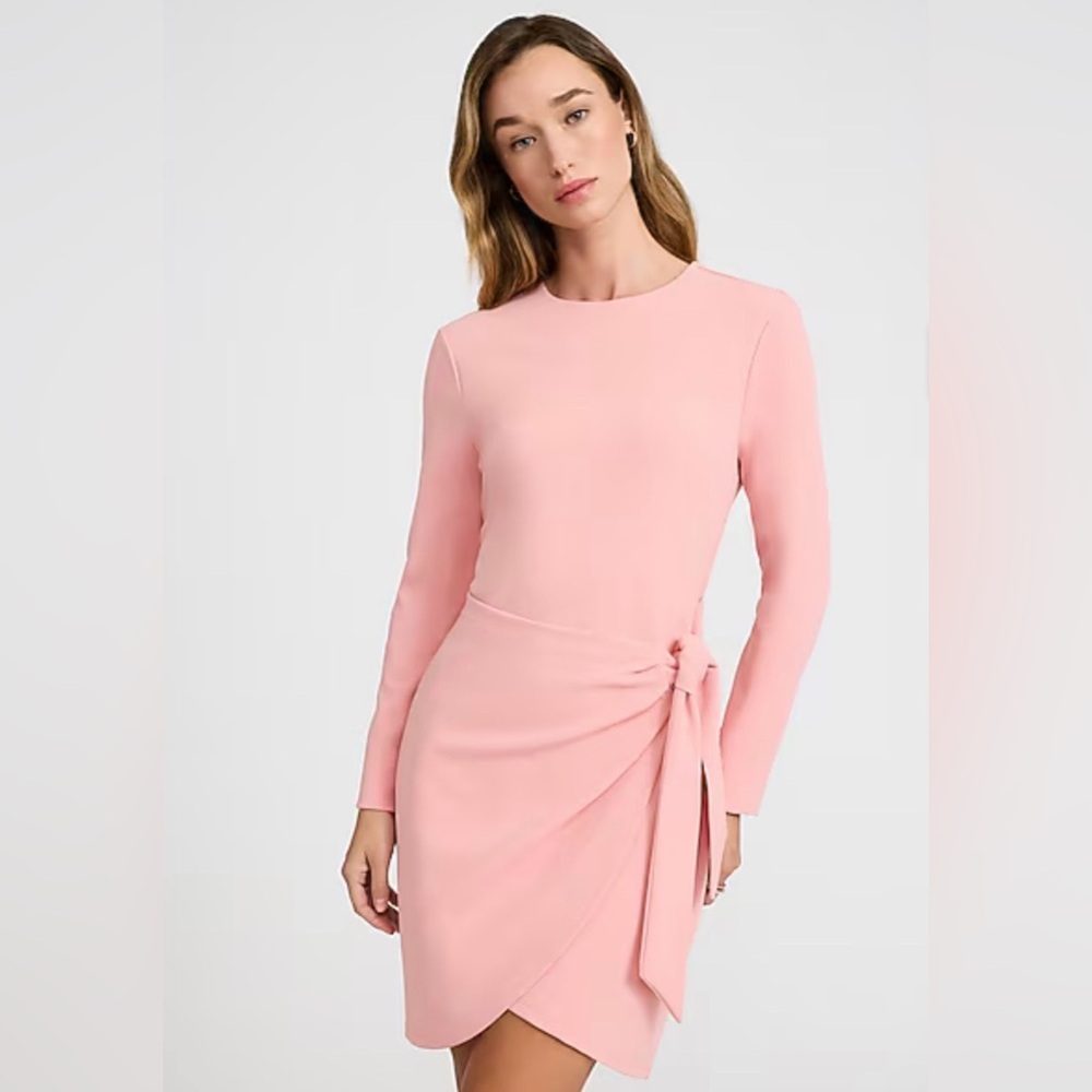 Express Soft Pink Long Sleeve Dress